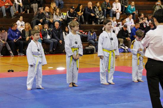 Taekwondo 1