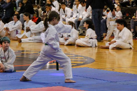 Taekwondo 8